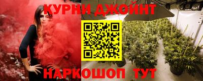 шишки Тулун